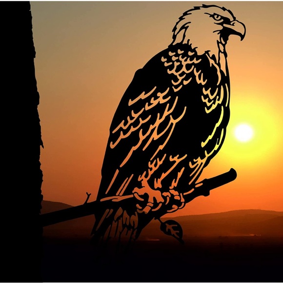 renovatio Metal Bald Eagle - Picture 3 of 4